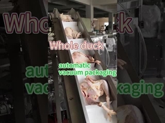 Máquina de embalagem de alimentos congelados de carne de aço inoxidável de qualidade alimentar 304/316